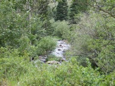PURGATOIRE CAMPGROUND