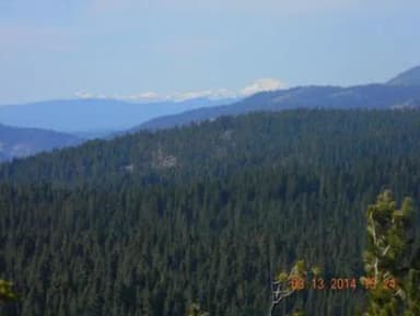 CALPINE LOOKOUT