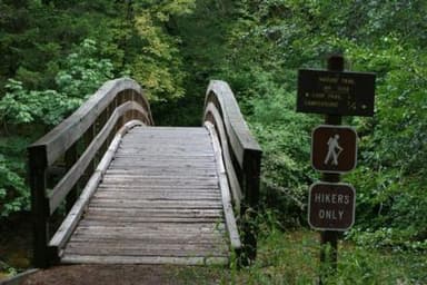 WOLF CREEK GROUP SITE