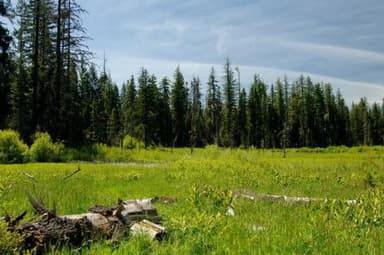 WILLOW PRAIRIE CABIN