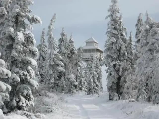 Tire tracks on a flat snow covered road flanked by snow covered conifers with a snow covered lookout tower and gray-blue sky in the background.