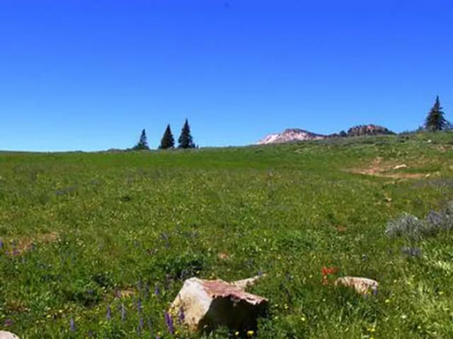 Mountain scape