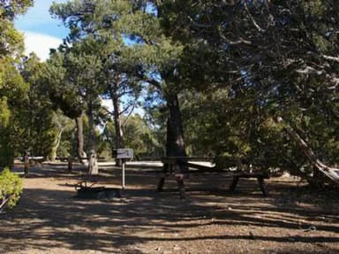 WARD MTN. CAMPGROUND (MURRAY SUMMIT)