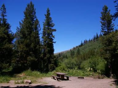 LOWER PENSTEMON CAMPSITE 2
