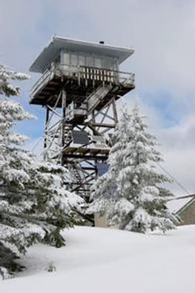 CLEAR LAKE CABIN LOOKOUT1