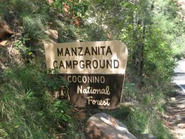 MANZANITA.