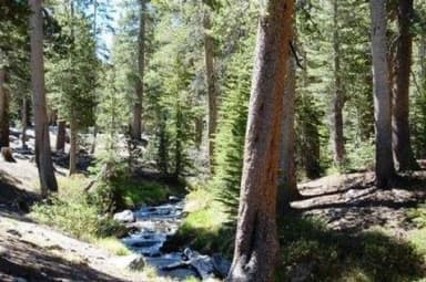 COLDWATER CAMPGROUND