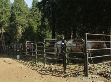CARTER MEADOWS HORSE GROUP