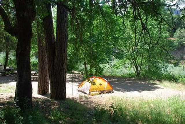 CURLY JACK CAMPGROUND