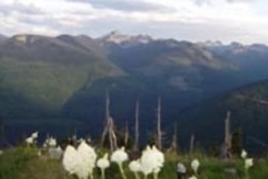 SHORTY PEAK LOOKOUT