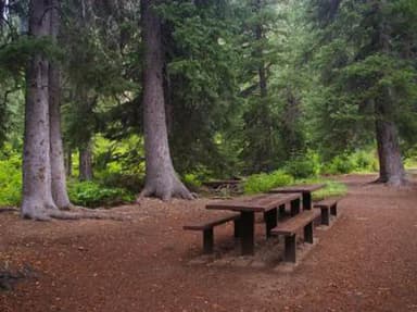 COTTONWOOD GROUP CAMPSITE