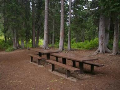 COTTONWOOD GROUP CAMPSITE