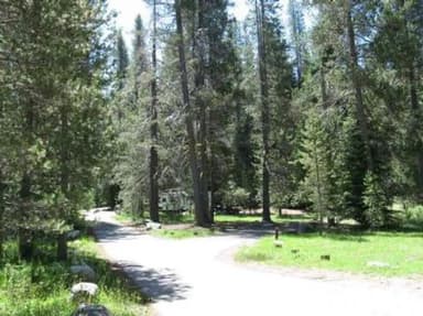 Chapman Creek Campground