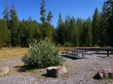 BIG SPRINGS GRP. AREA - ISLAND PARK