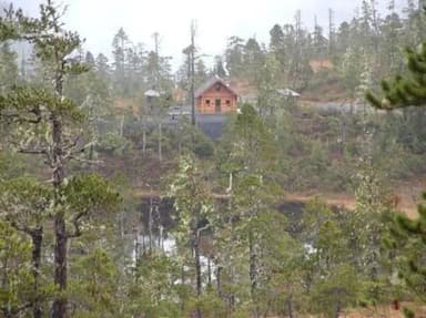 Middle Ridge Cabin in the distance seen behind trees