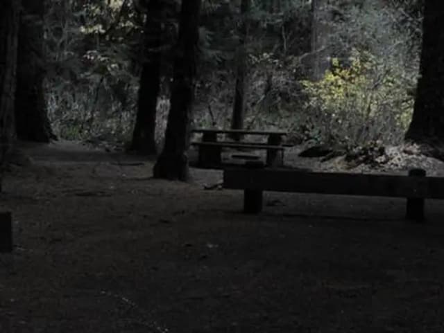 LIMBERLOST CAMPGROUND