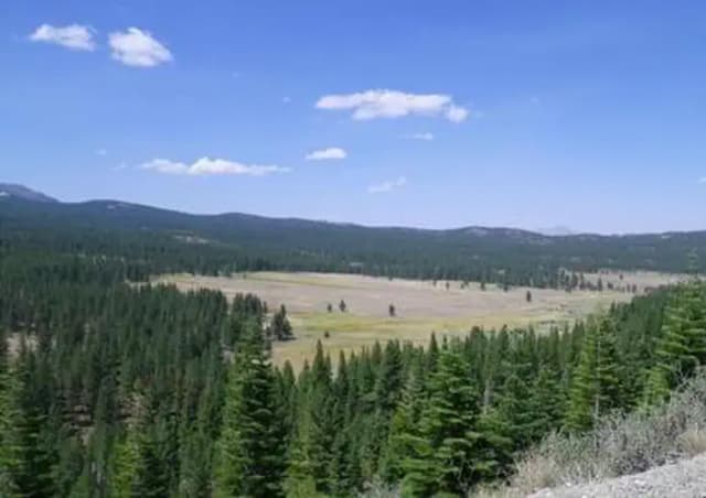 Lookout Campground