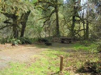 FERNVIEW GROUP SITE