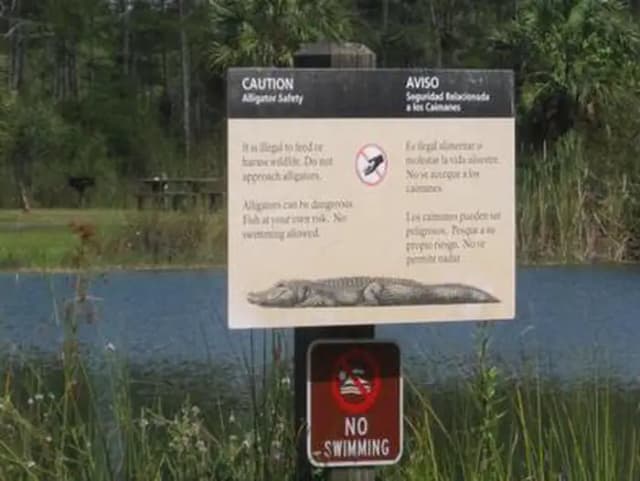 Midway Campground (FL) lake