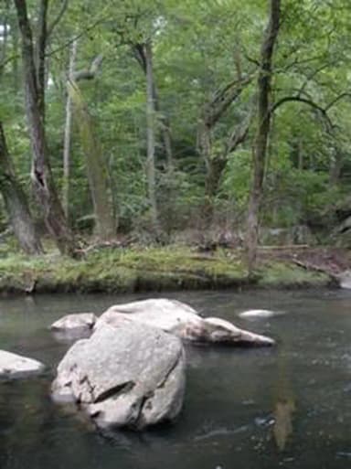 A boulder in the middle of Rock Creek with trees in the background