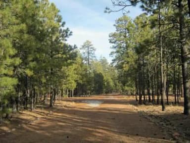 BLACK CANYON RIM CAMPGROUND