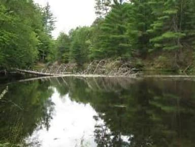 SEATON CREEK CAMPGROUND
