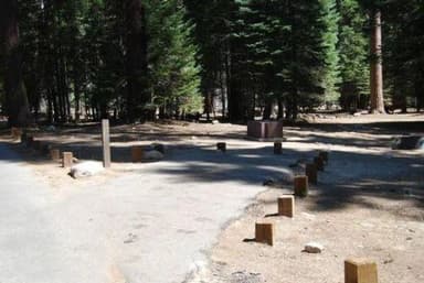 STONY CREEK SEQUOIA
