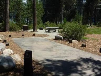 COLLEGE site 9