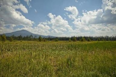 MALLARD MARSH CAMPGROUND