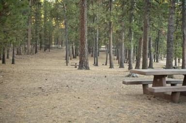 SOUTH TWIN LAKE CAMPGROUND