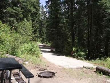 COLD SPRINGS CAMPGROUND, campsite