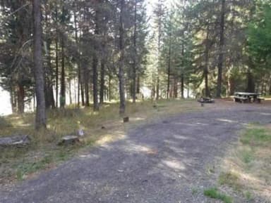 Flat gravel driveway leading to campsite with picnic table and fire ring in pine forest.