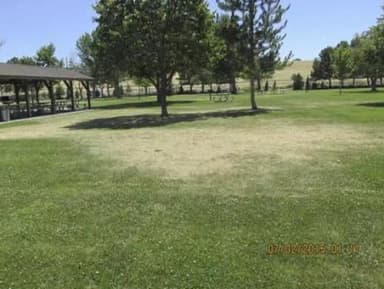 WEST PARK (OR)