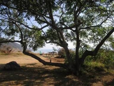 KIRK CREEK CAMPGROUND----