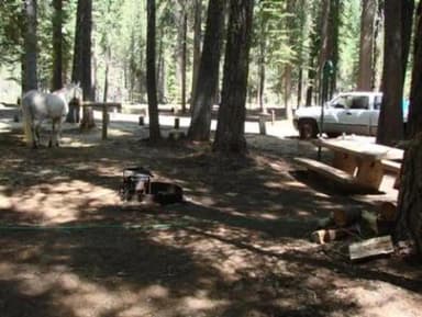 Horse Camp hitching post in use