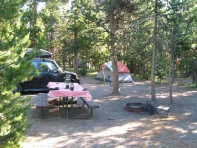 A picnic table, fire pit, car parked and tent pitched under pine trees at Indian Creek Campground