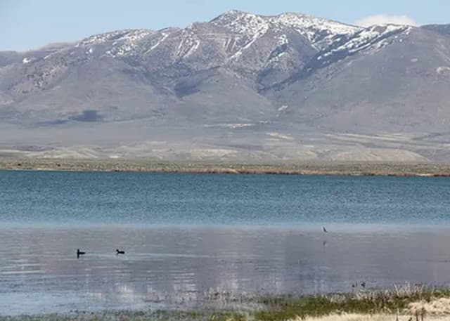 Wilson Reservoir Campground