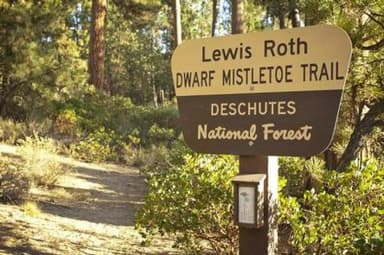 NORTH TWIN LAKE CAMPGROUND