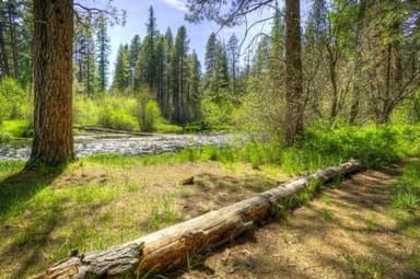 GORGE CAMPGROUND