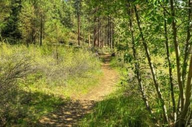 GORGE CAMPGROUND