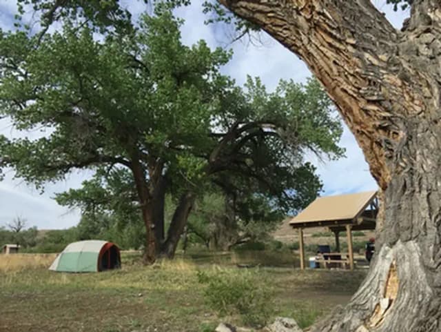 Cottonwood Grove Campground