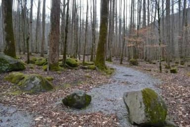 campsite trail