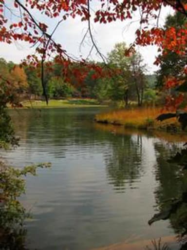 LAKE RUSSELL