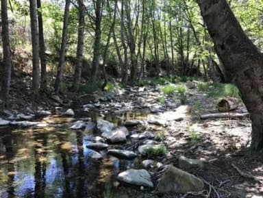 MIDDLE LION CAMPGROUND