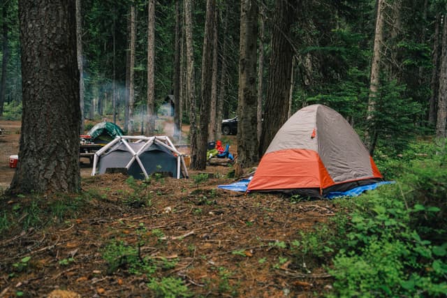 Tents and campfire smoke among old-growth pines along the Lostine River, Wallowa Mountains, Oregon
