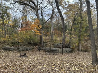 Cedar Grove Campsite 1