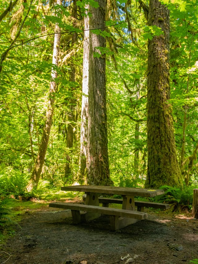 Graves Creek Campground 01