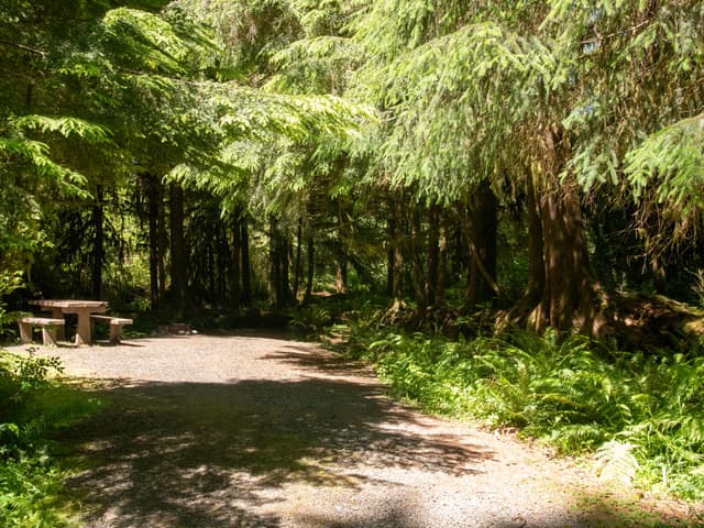 North Fork Campground 01