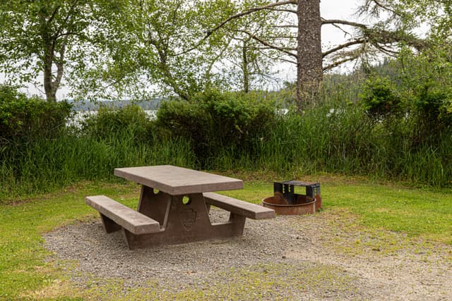 Ozette Campground 01