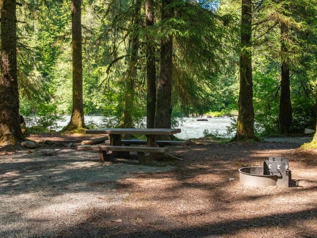 Queets Campground 01